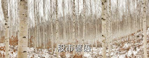 股票操盤(pán)暗語(yǔ)345,操盤(pán)數(shù)字暗語(yǔ)
