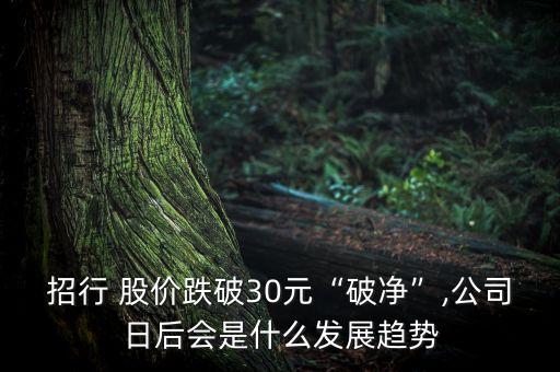 招行 股價(jià)跌破30元“破凈”,公司日后會是什么發(fā)展趨勢