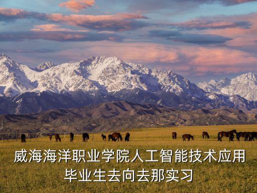  威海海洋職業(yè)學院人工智能技術(shù)應(yīng)用畢業(yè)生去向去那實習