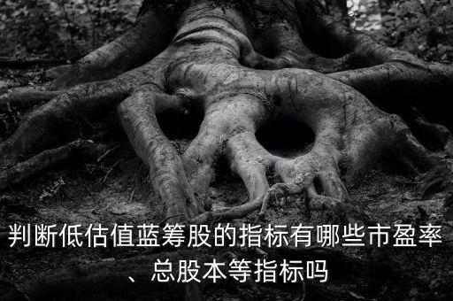判斷低估值藍(lán)籌股的指標(biāo)有哪些市盈率、總股本等指標(biāo)嗎