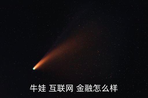 牛娃 互聯(lián)網 金融怎么樣