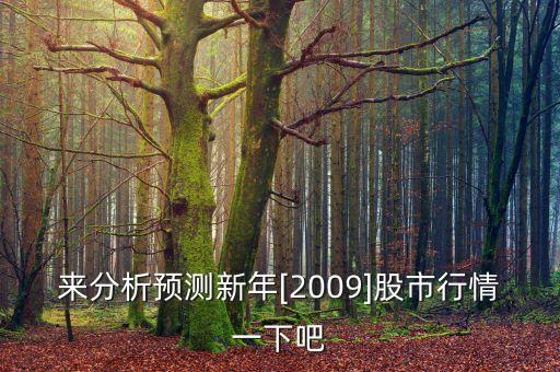 來分析預測新年[2009]股市行情一下吧