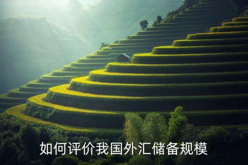 如何評價(jià)我國外匯儲(chǔ)備規(guī)模