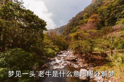 夢(mèng)見一頭 老牛是什么意思周公解夢(mèng)