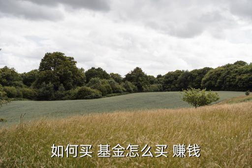 基金a怎么賺錢(qián),基金怎么賺錢(qián)啊難道等上漲以后把賣(mài)掉