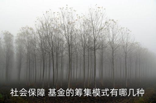 我國社會保險(xiǎn)基金籌資方式,哪一種不屬于社會保險(xiǎn)基金的籌資方式