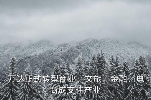  萬達正式轉型商業(yè)、文旅、金融、電商成支柱產業(yè)