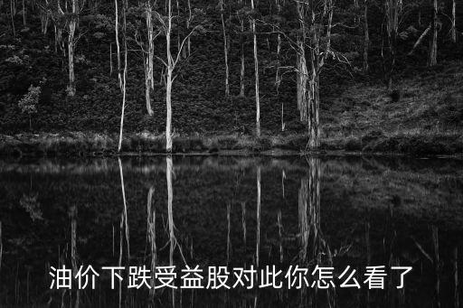 油價(jià)下跌受益股對此你怎么看了