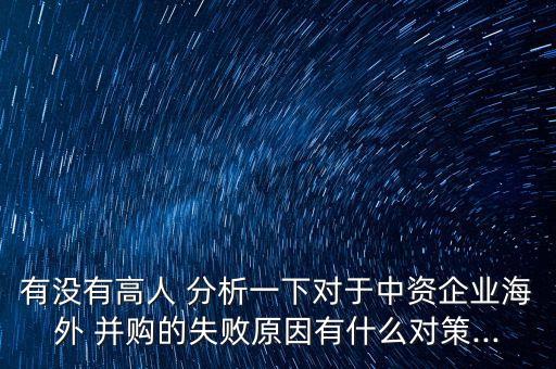 中中國企業(yè)跨國并購與新設投資的案例分析