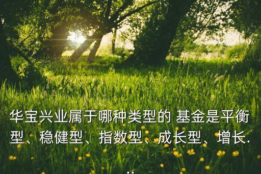 華寶興業(yè)屬于哪種類型的 基金是平衡型、穩(wěn)健型、指數(shù)型、成長型、增長...