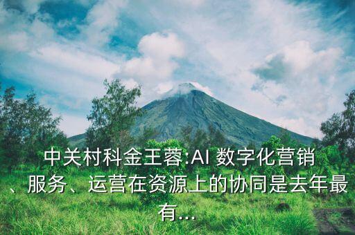  中關(guān)村科金王蓉:AI 數(shù)字化營(yíng)銷、服務(wù)、運(yùn)營(yíng)在資源上的協(xié)同是去年最有...
