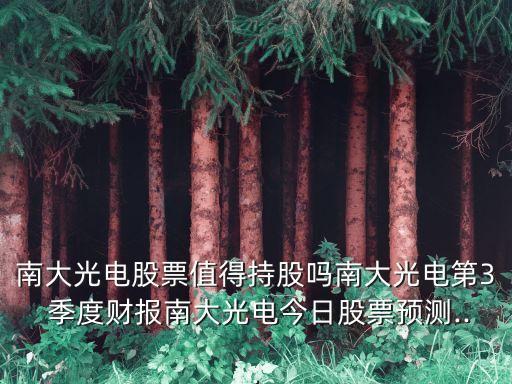 南大光電股票值得持股嗎南大光電第3 季度財報南大光電今日股票預測...