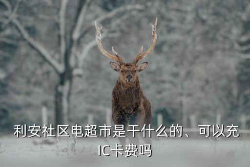  利安社區(qū)電超市是干什么的、可以充IC卡費(fèi)嗎