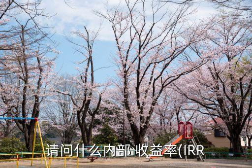 請問什么內部 收益率(IRR