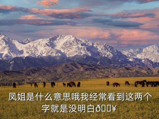  鳳姐是什么意思哦我經(jīng)?？吹竭@兩個字就是沒明白?