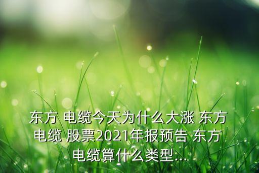  東方 電纜今天為什么大漲 東方 電纜 股票2021年報(bào)預(yù)告 東方 電纜算什么類(lèi)型...