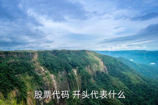  股票代碼 開(kāi)頭代表什么