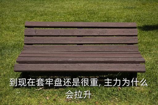 到現(xiàn)在套牢盤(pán)還是很重, 主力為什么會(huì)拉升