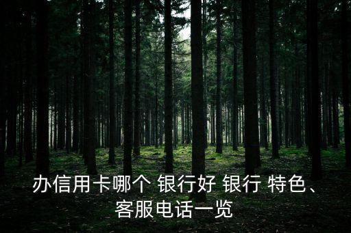 辦信用卡哪個(gè) 銀行好 銀行 特色、客服電話一覽