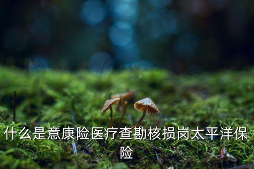 中國(guó)太?；A(chǔ)設(shè)施債權(quán),基礎(chǔ)設(shè)施債權(quán)計(jì)劃