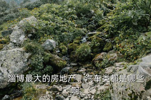  淄博最大的房地產(chǎn)、汽車類都是哪些啊