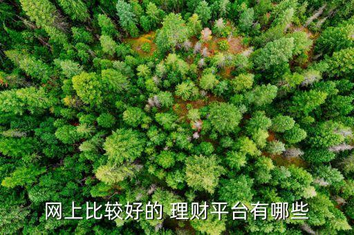 專戶網絡個人理財公司