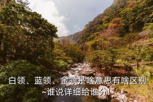  白領、藍領、金領是啥意思有啥區(qū)別~誰說詳細給誰分!