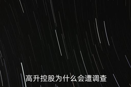  高升控股為什么會遭調查