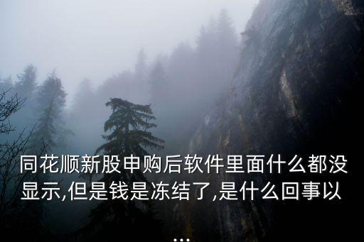  同花順新股申購(gòu)后軟件里面什么都沒(méi)顯示,但是錢(qián)是凍結(jié)了,是什么回事以...
