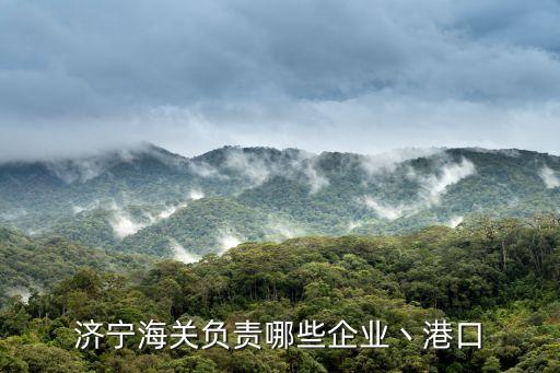 濟寧海關(guān)負(fù)責(zé)哪些企業(yè)丶港口