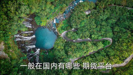 一般在國內有哪些 期貨平臺