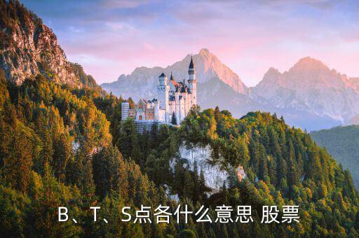 B、T、S點各什么意思 股票