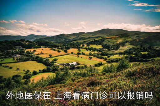 外地醫(yī)保在 上?？床￠T診可以報銷嗎