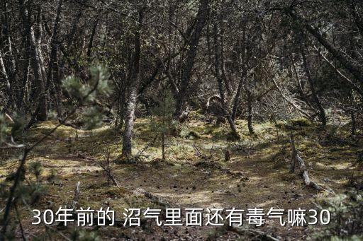 30年前的 沼氣里面還有毒氣嘛30