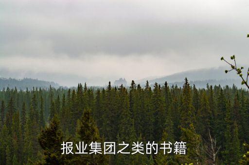 報(bào)業(yè)集團(tuán)之類的書(shū)籍