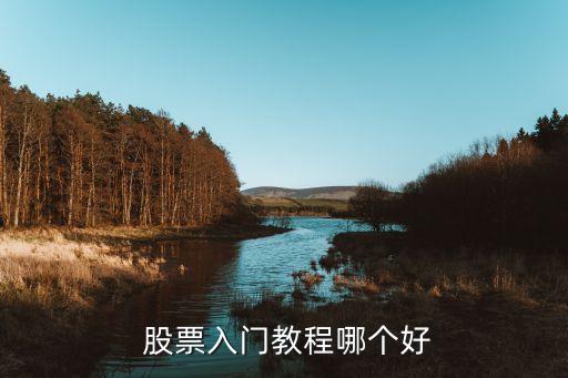  股票入門(mén)教程哪個(gè)好