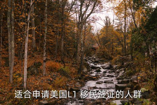 適合申請(qǐng)美國L1 移民簽證的人群