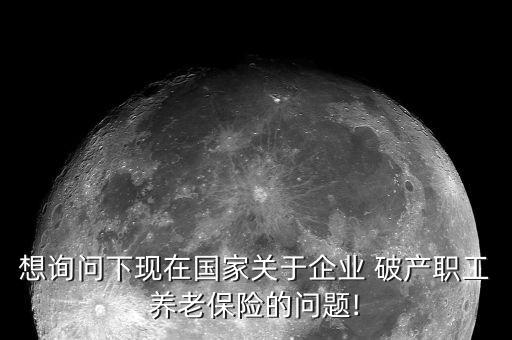 想詢(xún)問(wèn)下現(xiàn)在國(guó)家關(guān)于企業(yè) 破產(chǎn)職工養(yǎng)老保險(xiǎn)的問(wèn)題!