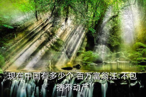 現(xiàn)在中國有多少個 百萬富翁注:不包括不動產