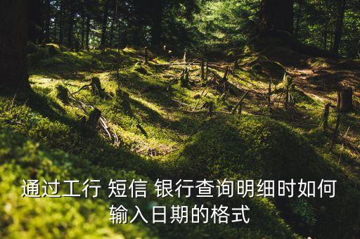通過(guò)工行 短信 銀行查詢明細(xì)時(shí)如何輸入日期的格式