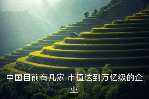 中國目前有幾家 市值達(dá)到萬億級(jí)的企業(yè)