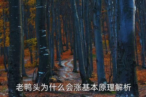 老鴨頭為什么會漲基本原理解析