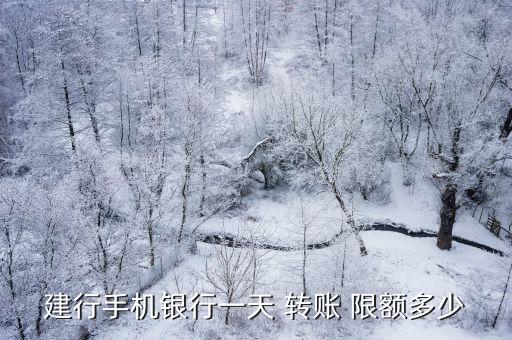建設銀行網上轉賬有限額嗎