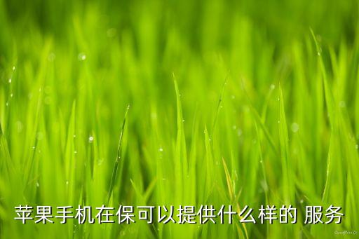 蘋果手機在?？梢蕴峁┦裁礃拥?服務