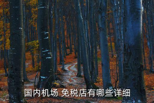 國內(nèi)機(jī)場(chǎng) 免稅店有哪些詳細(xì)