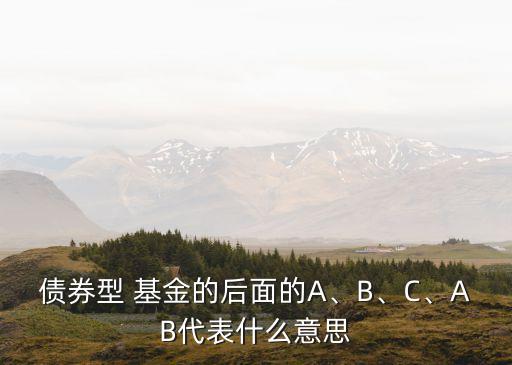 債券型 基金的后面的A、B、C、AB代表什么意思