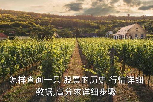 怎樣查詢(xún)一只 股票的歷史 行情詳細(xì)數(shù)據(jù),高分求詳細(xì)步驟