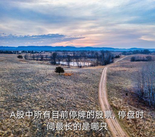 A股中所有目前停牌的股票, 停盤時(shí)間最長的是哪只
