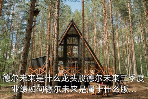 德爾未來是什么龍頭股德爾未來三季度業(yè)績?nèi)绾蔚聽栁磥硎菍儆谑裁窗?..
