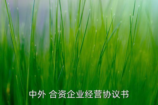 中外 合資企業(yè)經(jīng)營協(xié)議書